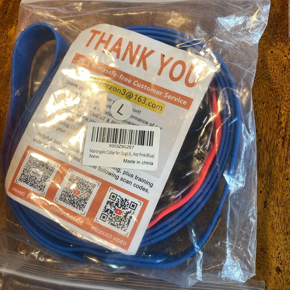Prong Training Collar with attached leash